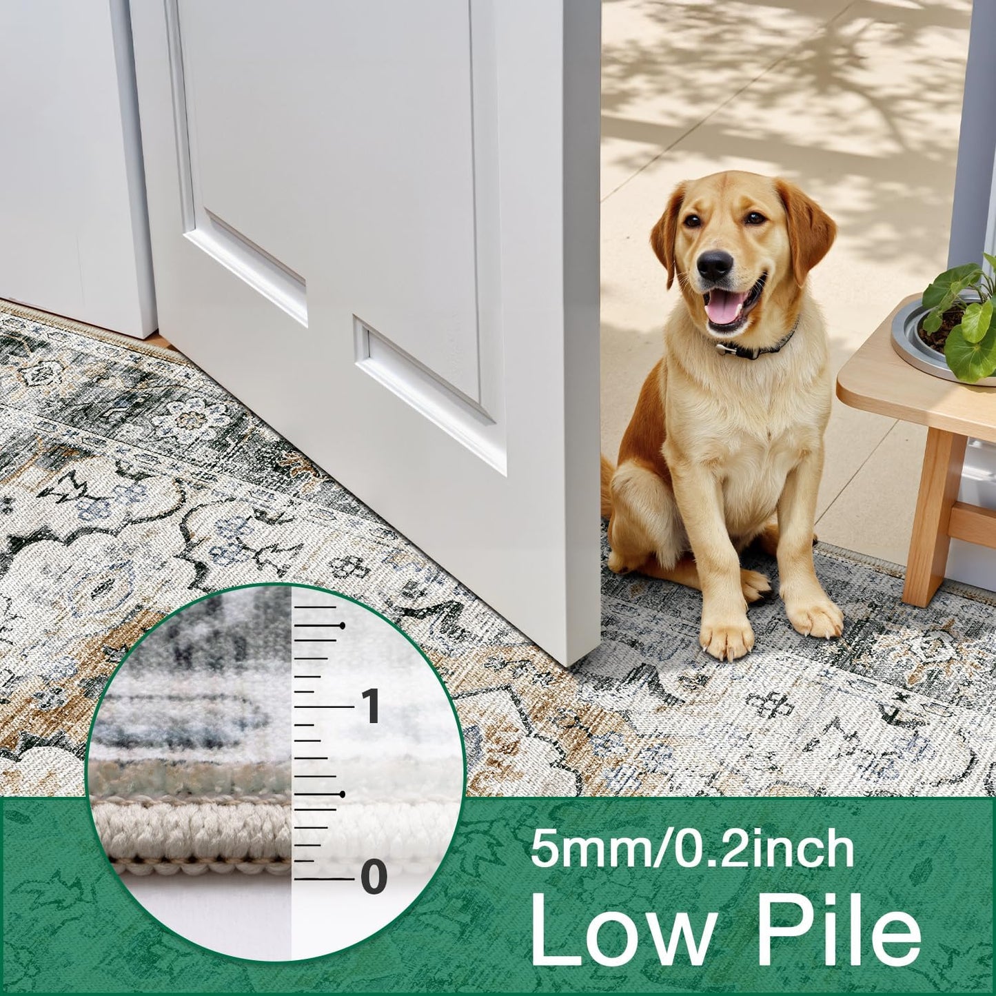 Area Rug Traditional Vintage Series Marais