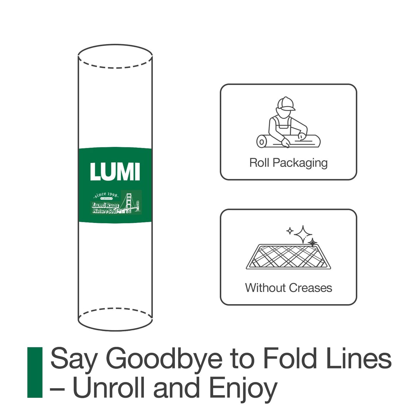 Doormat for Home Entrance, Absorbent & Stain-Resistant Mat, Fenian Series.