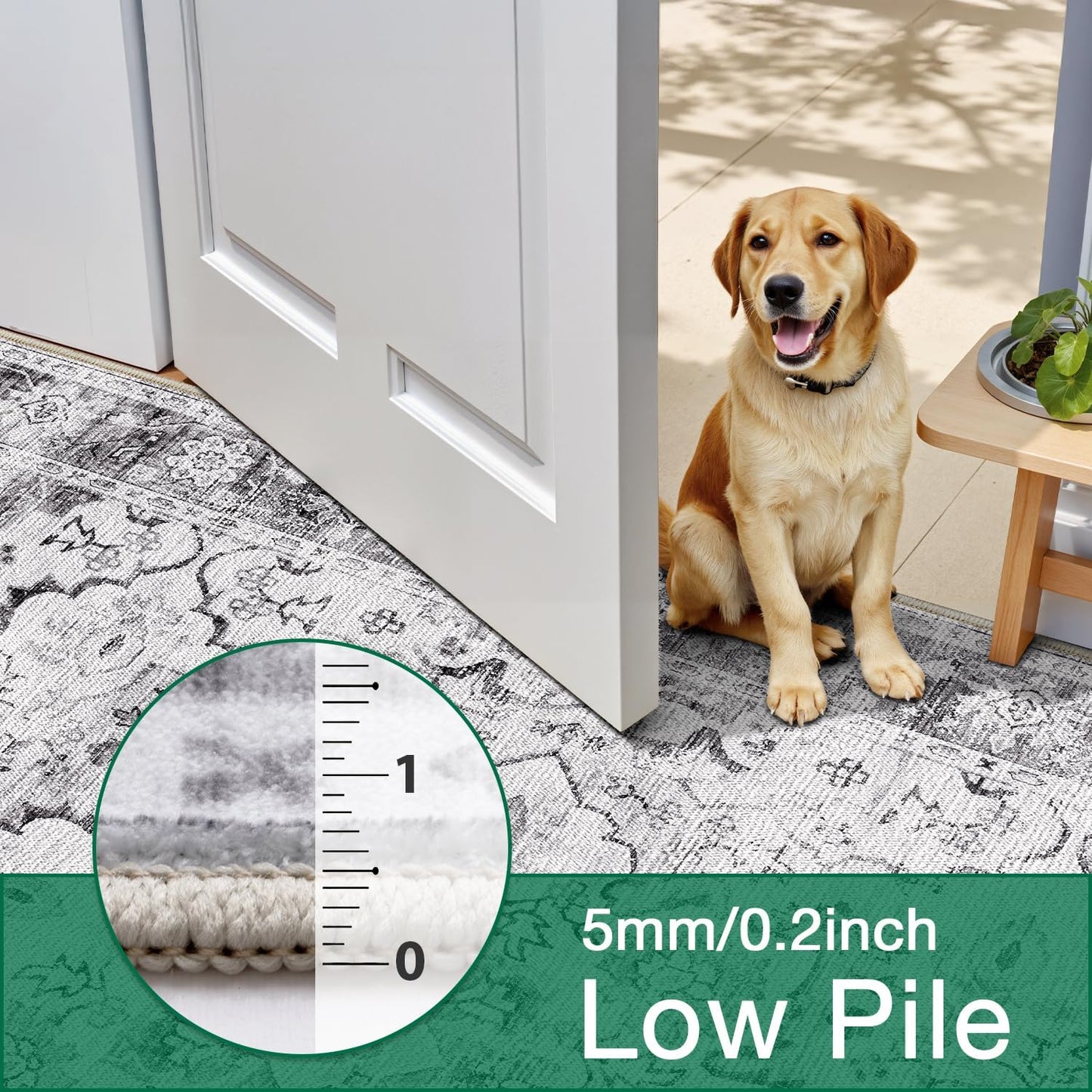 Area Rug Traditional Vintage Series Noema