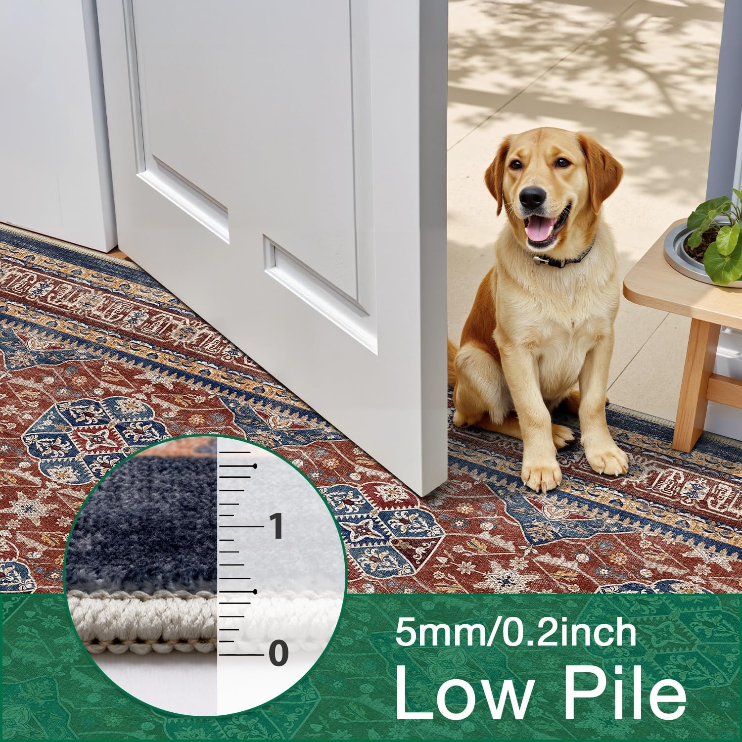 LUMI Washable Area Rug 5x8/8x10 for Living Room, Ultra Soft Stain Resistant Carpet with Non Slip Rubber Backing, Non-Shedding Low Pile Rugs for Bedroom, Dining Room, Indoor, Office