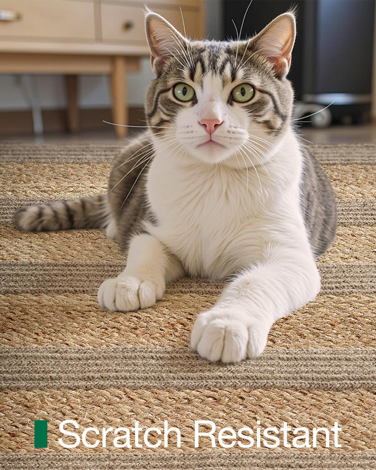 Jute Runner Rug, Natural Braided Woven Rugs, Jute Scape Series