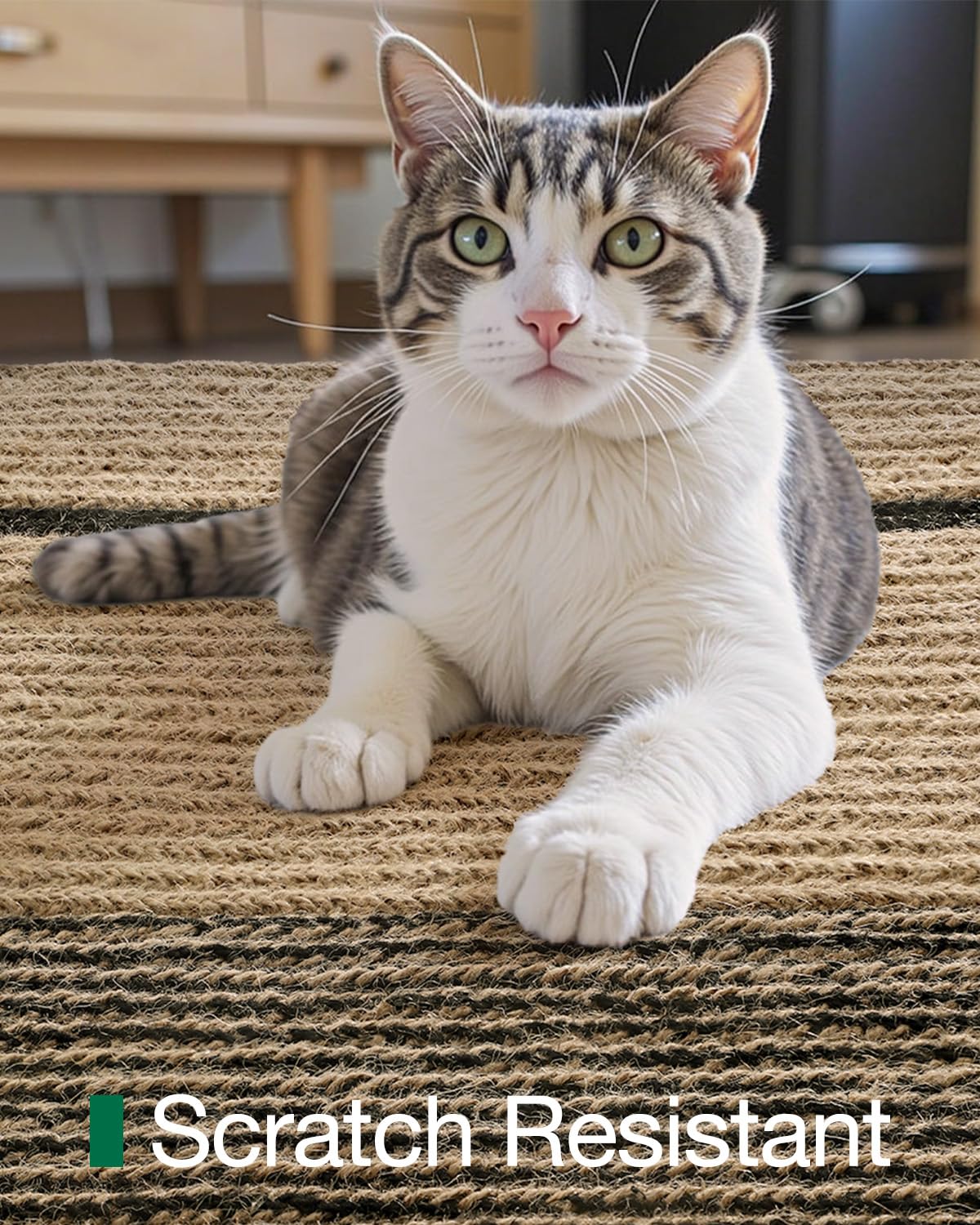 Jute Runner Rug, Natural Braided Woven Rugs, Jute Scape Series