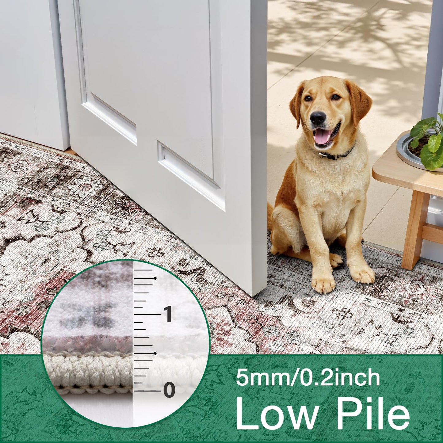 LUMI Washable Area Rug for Living Room Bedroom, Ultra Thin & Easy Clean