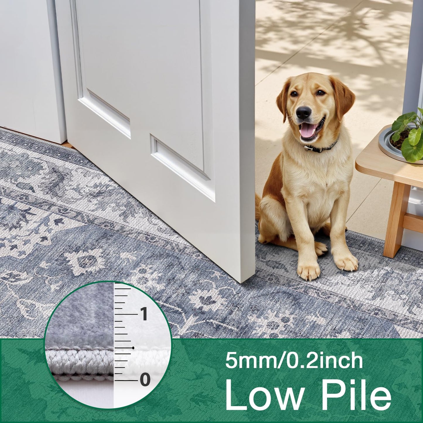 LUMI Washable Area Rug for Living Room Bedroom, Ultra Thin & Easy Clean