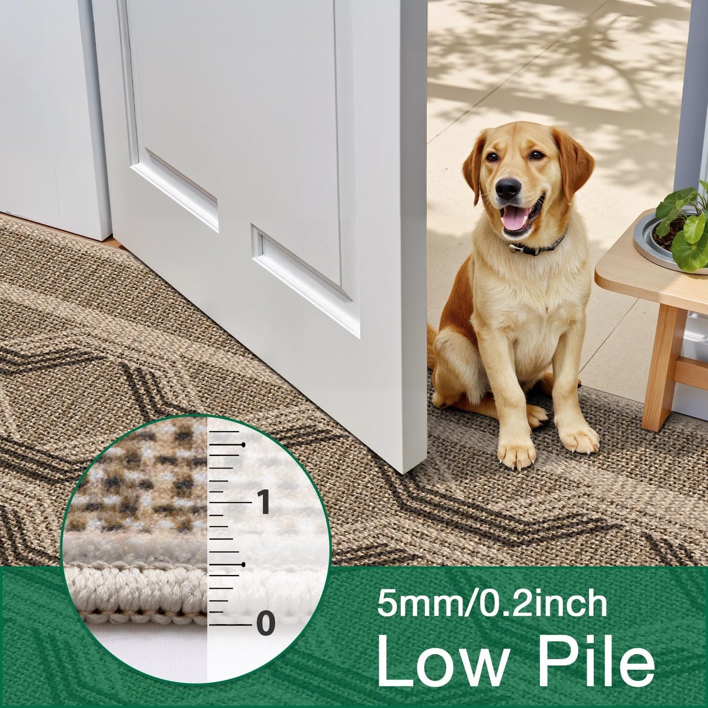 Area Rug Traditional Vintage Series Thread