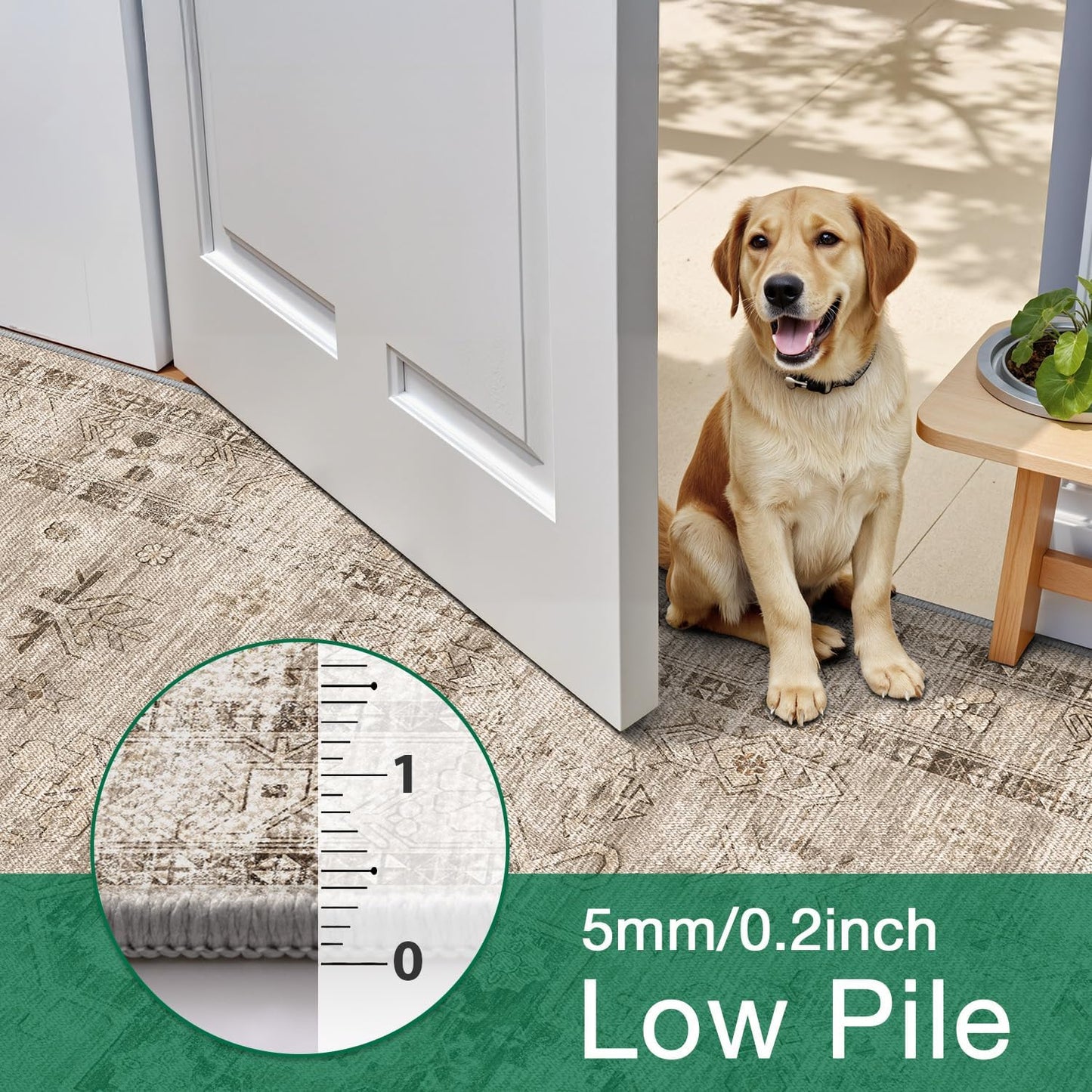 Area Rug Traditional Vintage Series Dust Memory