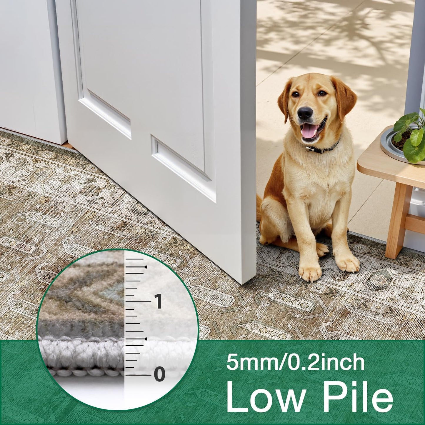 Area Rug Traditional Vintage Series Retro Meadow