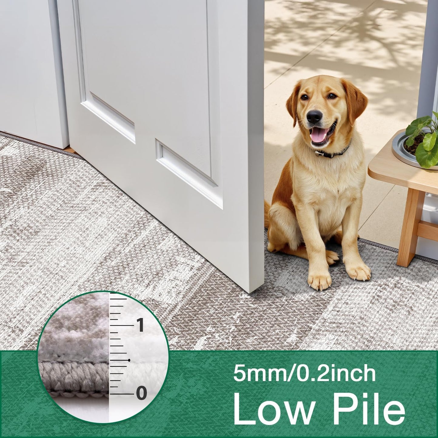 Area Rug Traditional Vintage Series Retro Grain