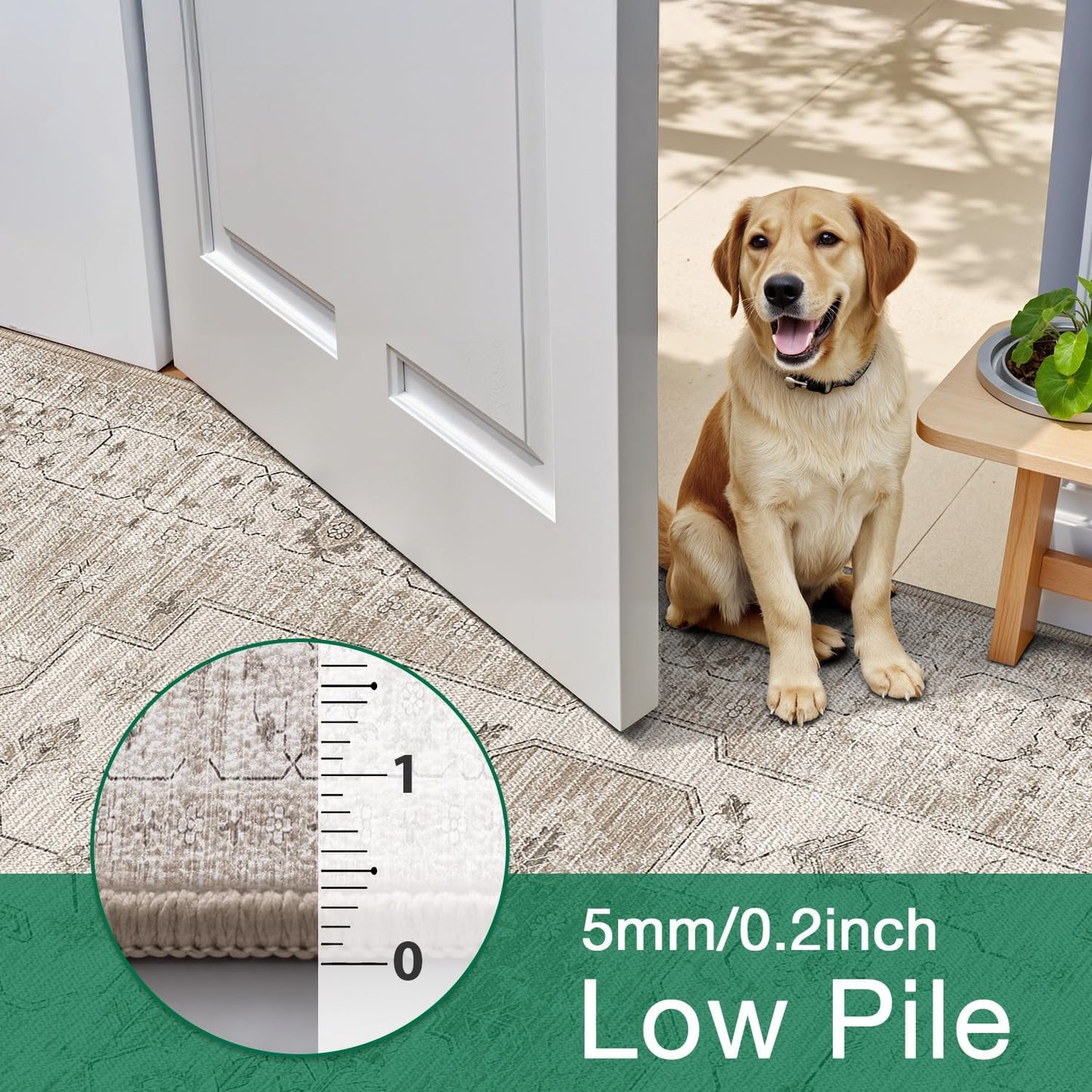 Area Rug Traditional Vintage Series Bare Harmony