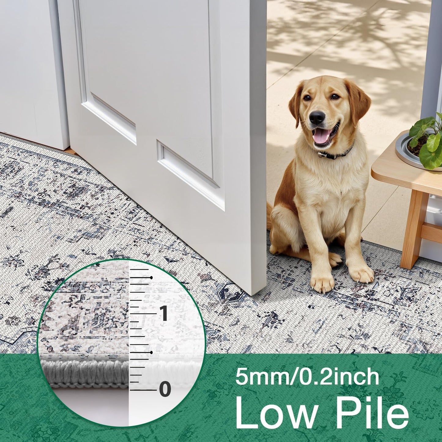 LUMI Washable Area Rug for Living Room Bedroom, Ultra Thin & Easy Clean
