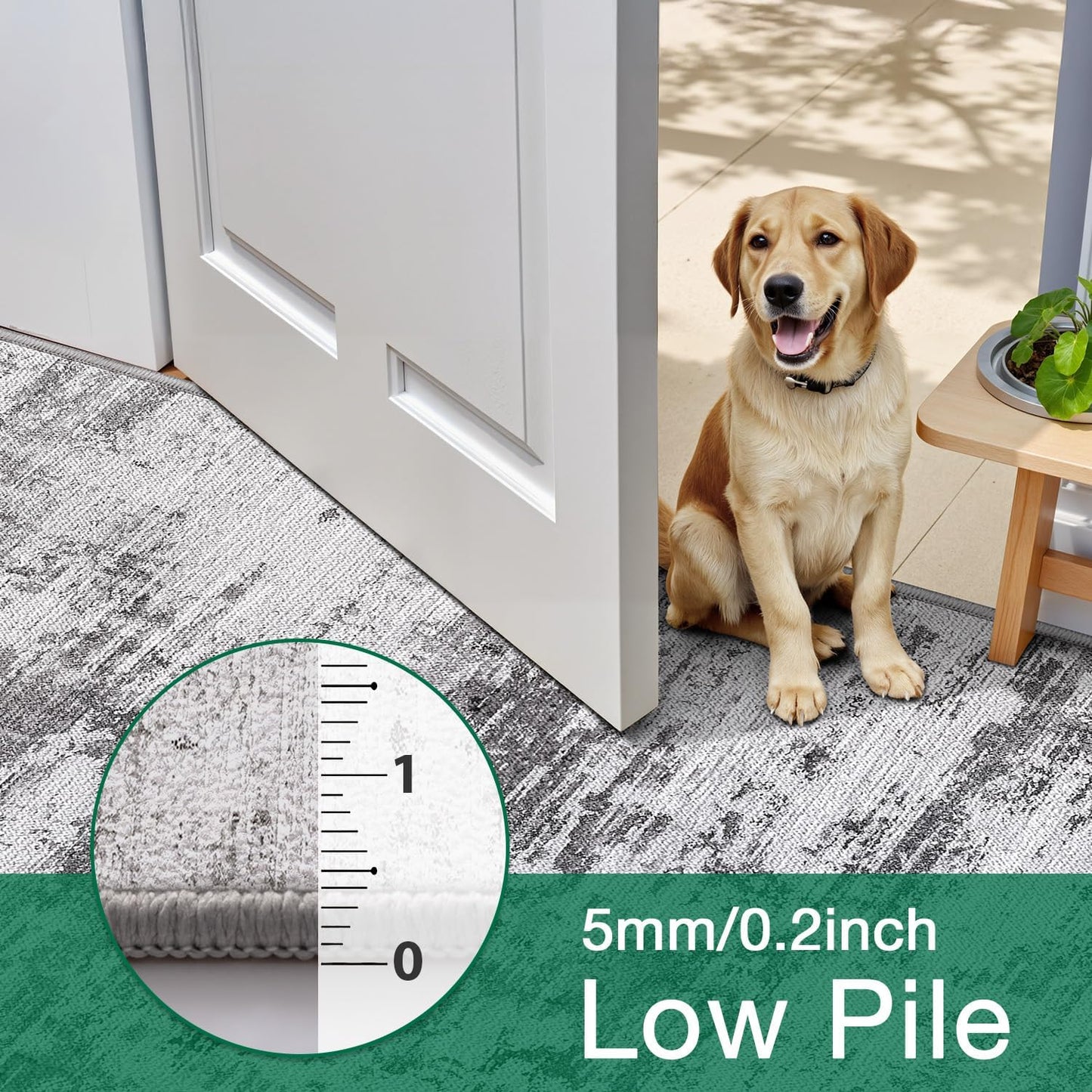 Area Rug Traditional Vintage Series Concrete Dream