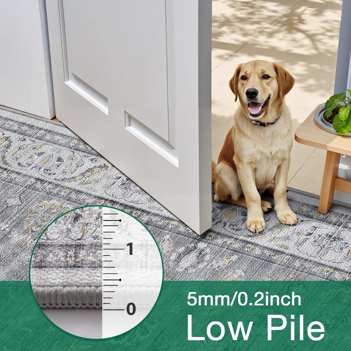 LUMI Washable Area Rug for Living Room Bedroom, Ultra Thin & Easy Clean