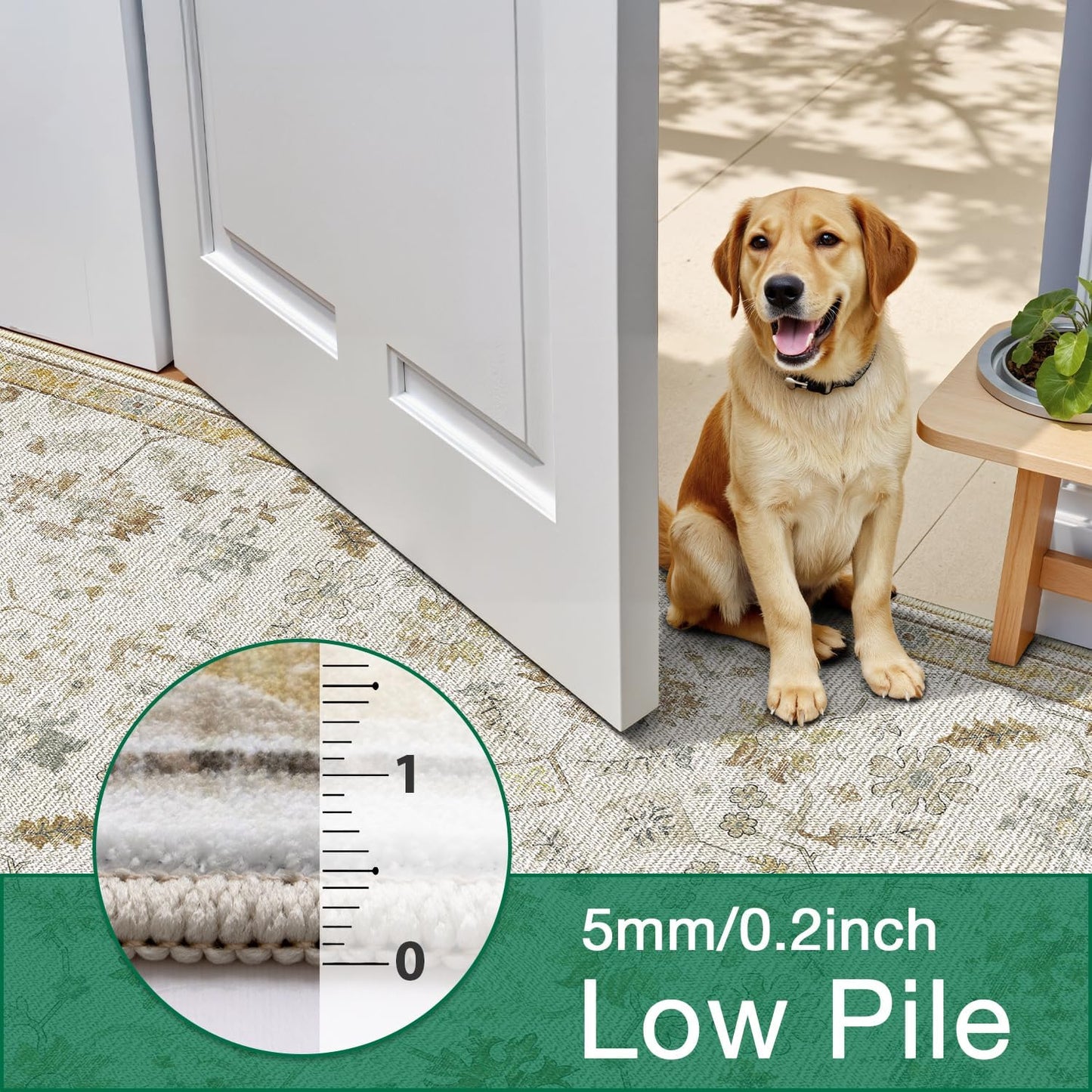 Area Rug Traditional Vintage Series Carefree Soul