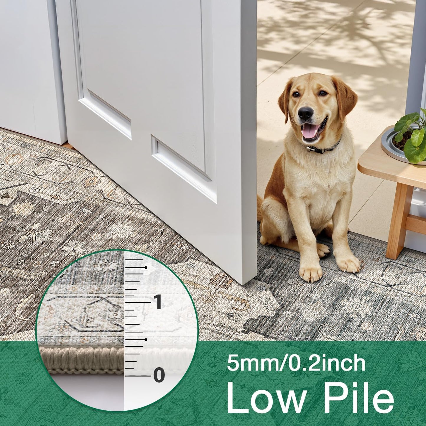 Area Rug Traditional Vintage Series Antique Soul