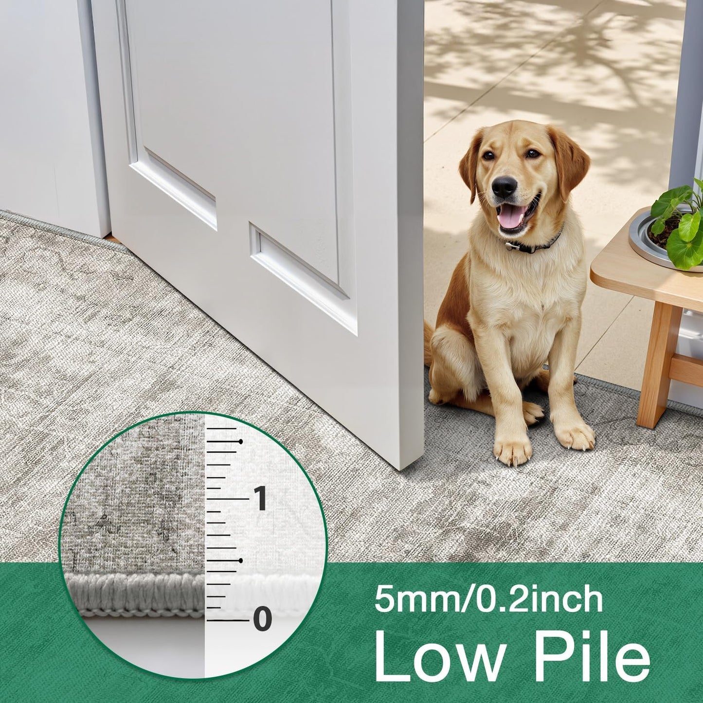 Area Rug Traditional Vintage Series Moon Dusk