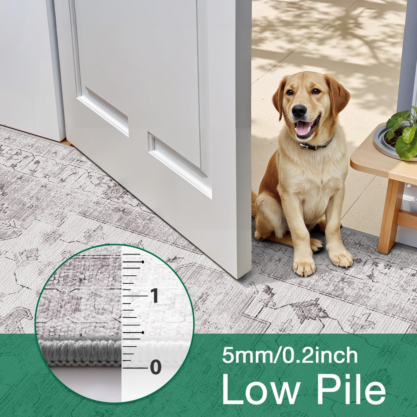 Area Rug Traditional Vintage Series Nomad Haze