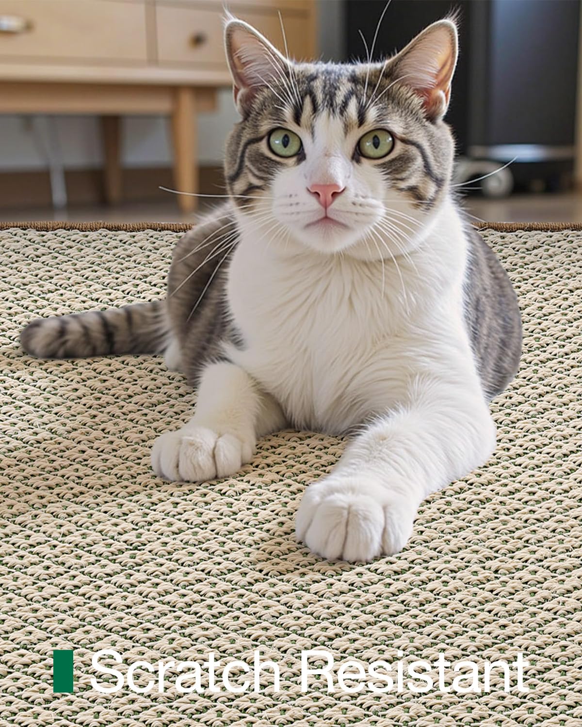 Jute Runner Rug, Natural Braided Woven Rugs, Jute Scape Series