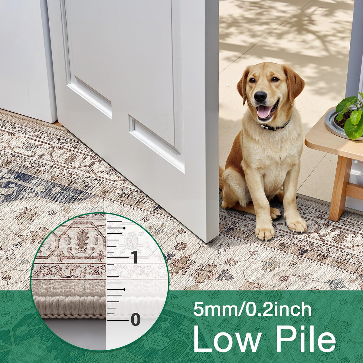 LUMI Washable Area Rug for Living Room Bedroom, Ultra Thin & Easy Clean