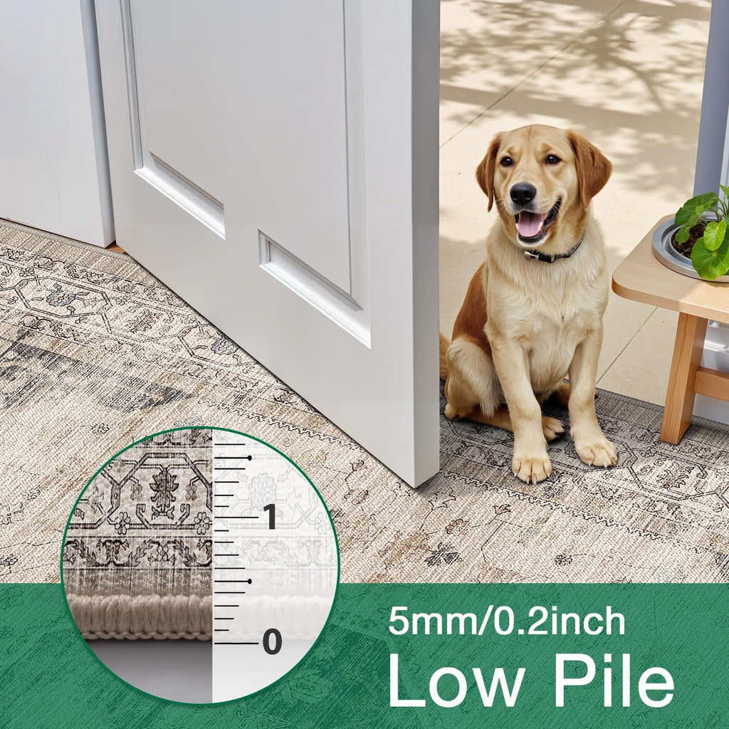 LUMI Washable Area Rug for Living Room, Ultra Soft Traditional Rugs Non Slip with Rubber Backing, Low Profile, High Traffic, Stain Resistant Carpets, Ideal for Bedroom, Dining Room, Indoor