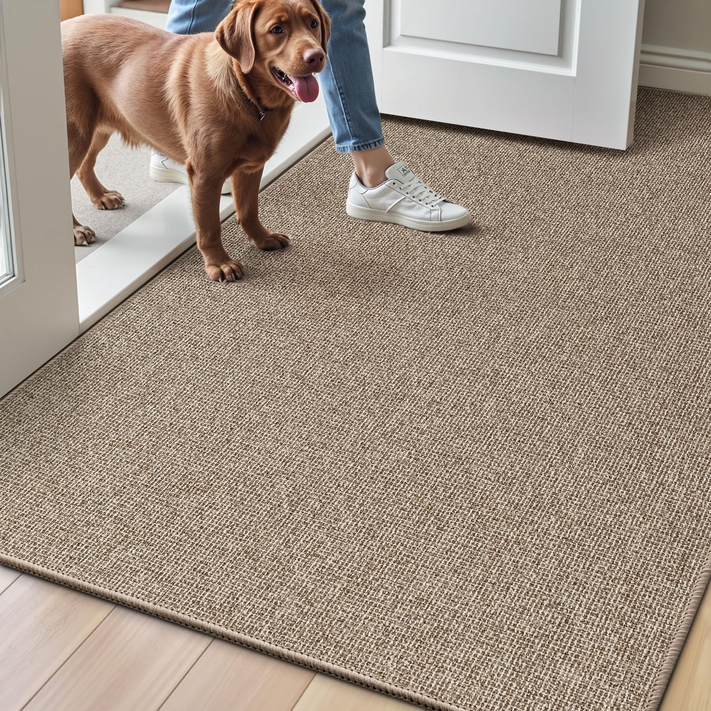 Doormat for Home Entrance, Absorbent & Stain-Resistant Mat, Fenian Series.