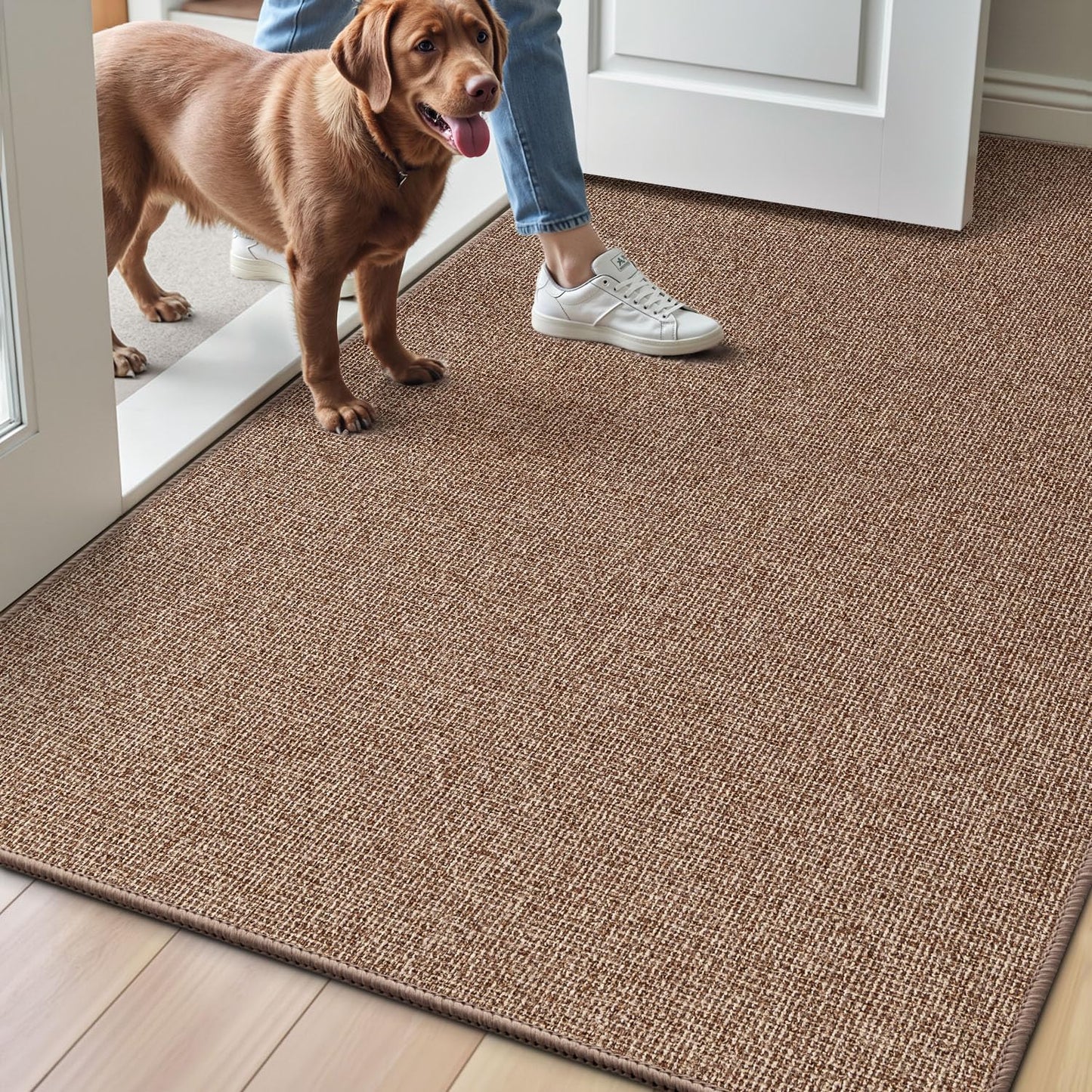 Doormat for Home Entrance, Absorbent & Stain-Resistant Mat, Fenian Series.