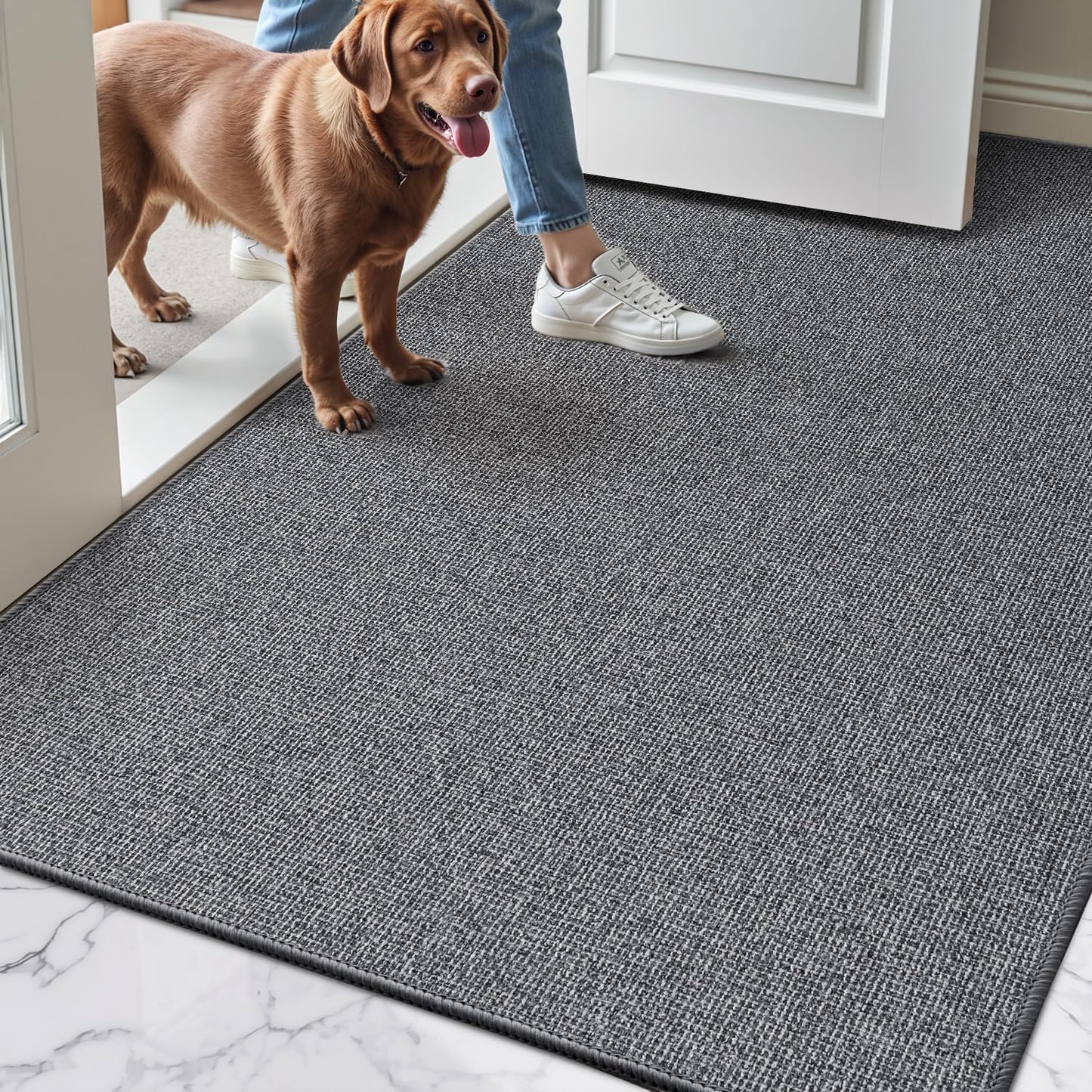 Doormat for Home Entrance, Absorbent & Stain-Resistant Mat, Fenian Series.